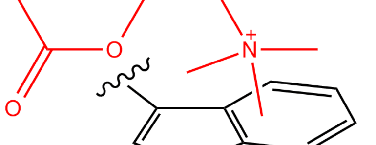 acetylcholine function